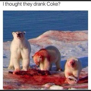 Meet your Posher, Ivan